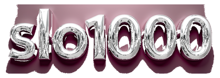 slo1000 logo